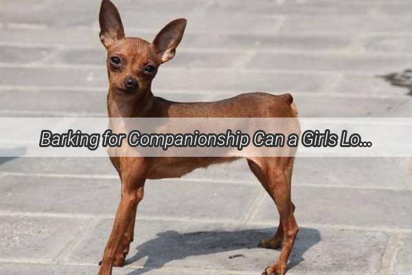 Barking for Companionship Can a Girls Lonely Heart Find Comfort in a Furry Friend